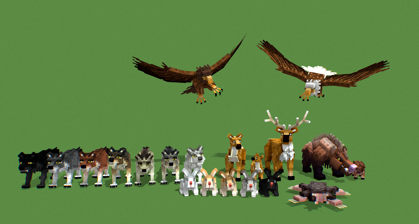 New Models
