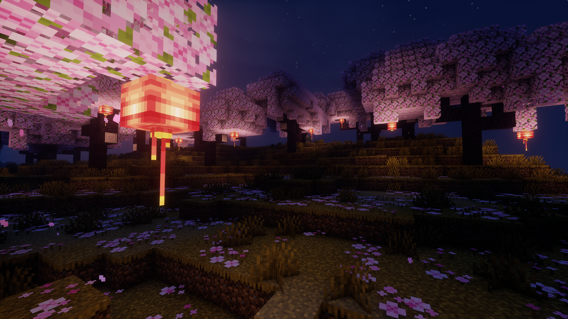 Oriental Lights
