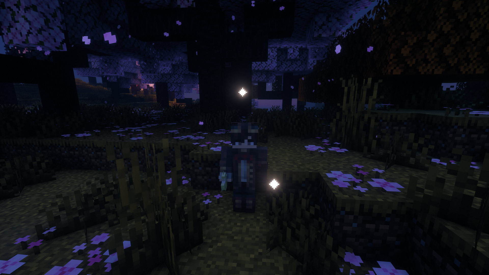 Wishing Upon a Star