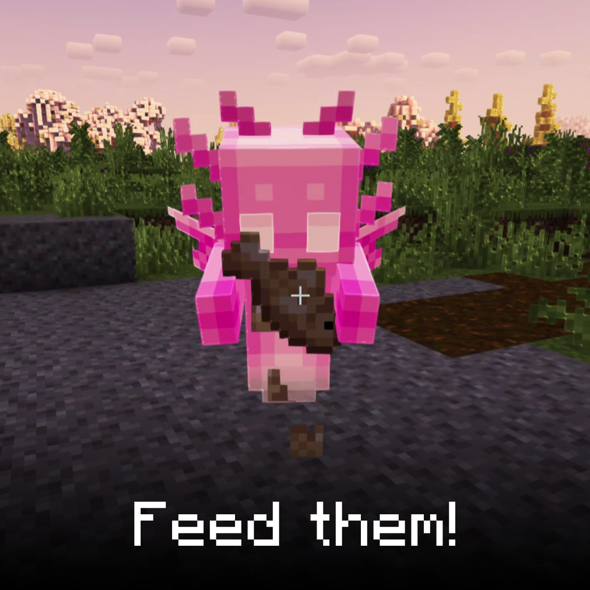 Feed your allays!