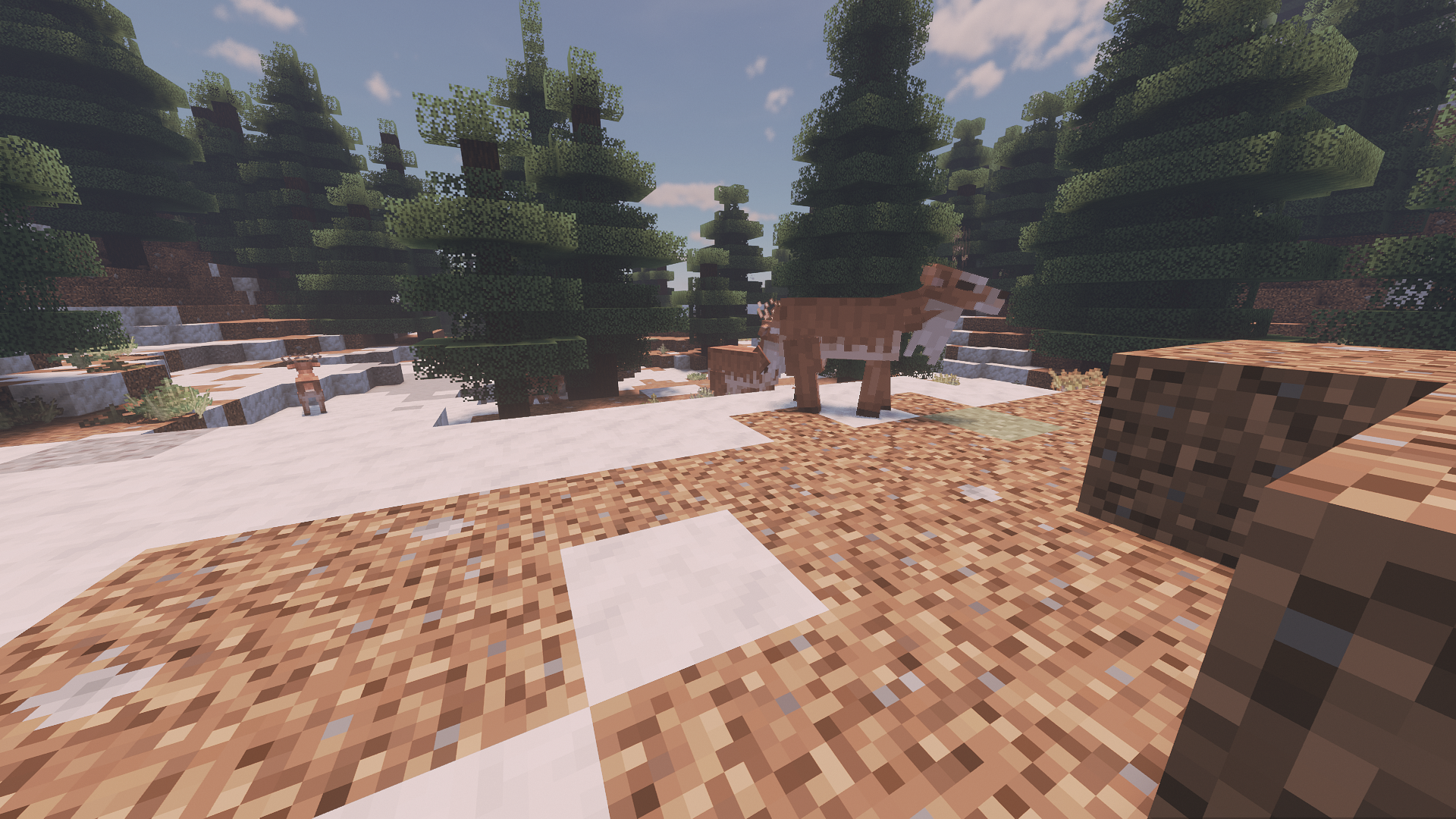deer chilling with bliss
