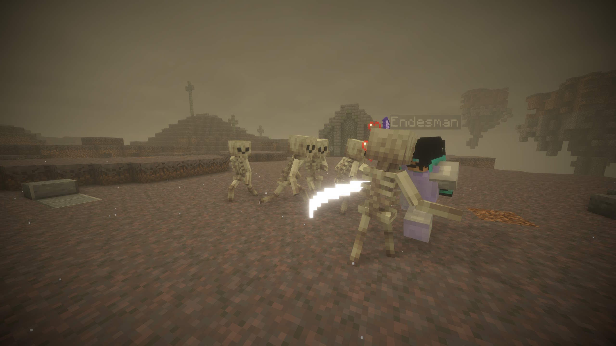 E-magination Dungeon Skeletons Minecraft