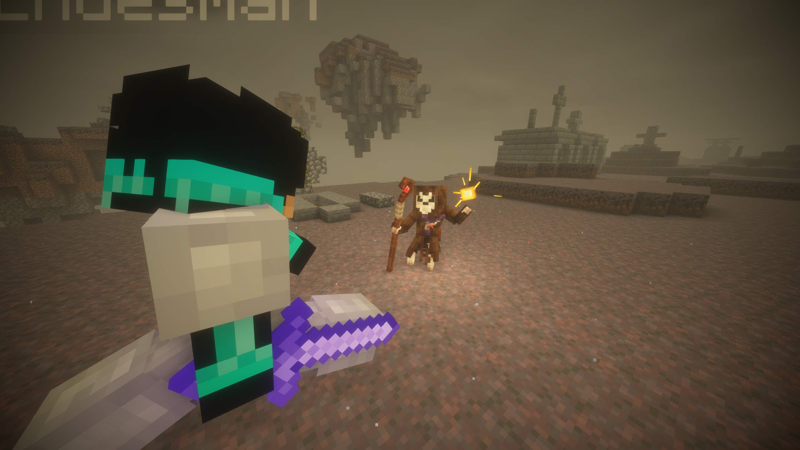 E-magination Dungeon Skeletons Minecraft