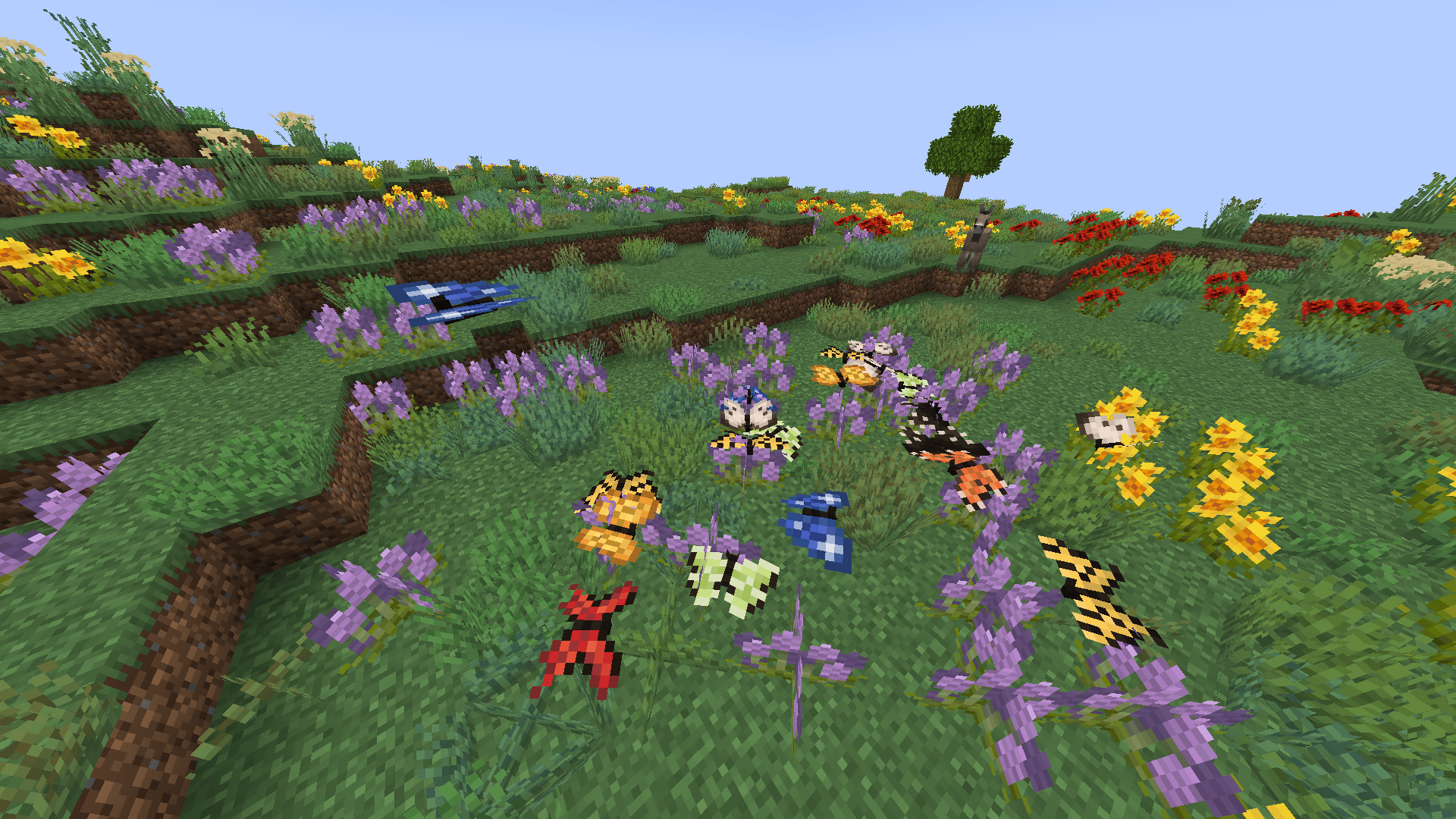 butterflies pollinating flowers