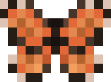 orange butterfly