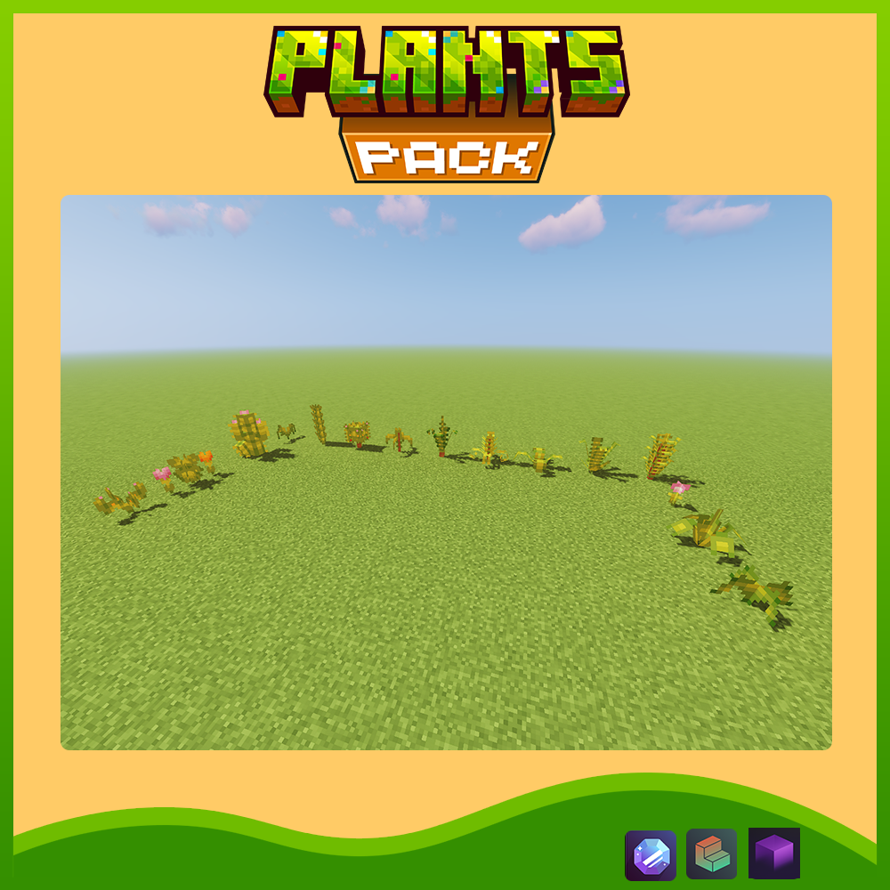 plants6