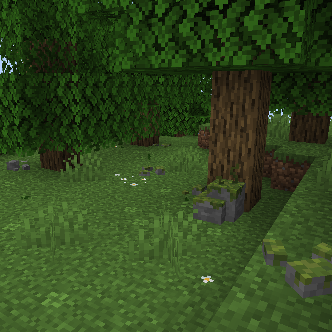 Stones in the forest