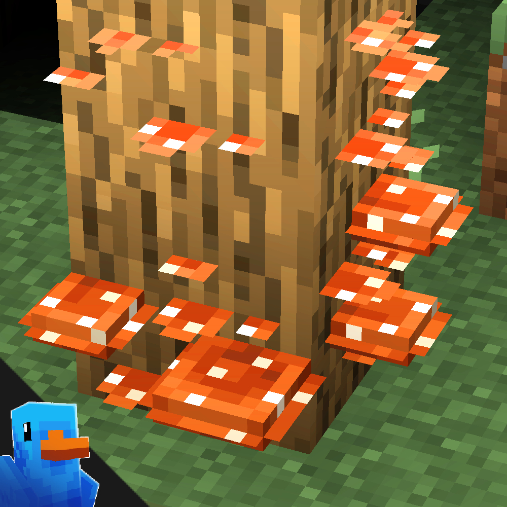 Fischvogels Small Wall Mushrooms preview image