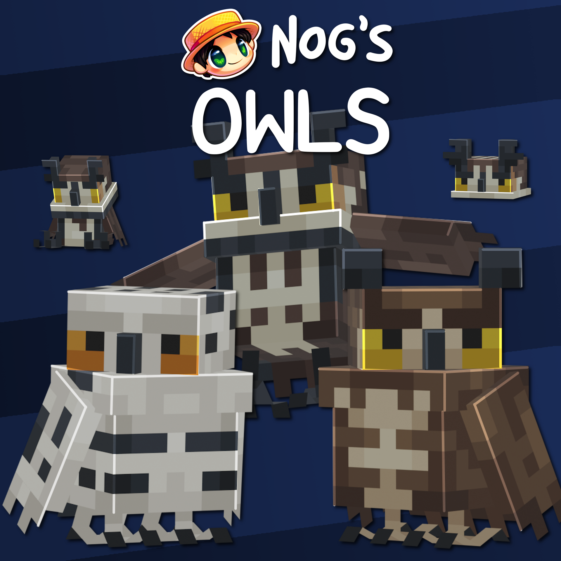 Nog's Owls 預覽圖