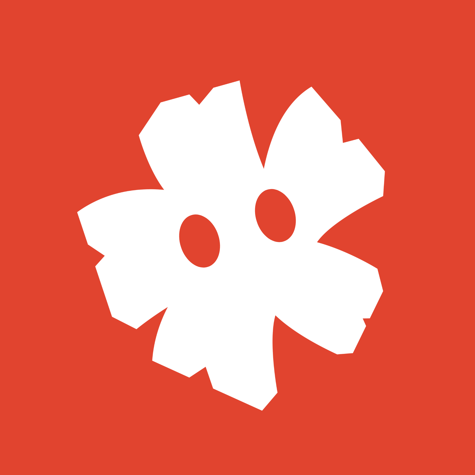 Blossom Studios